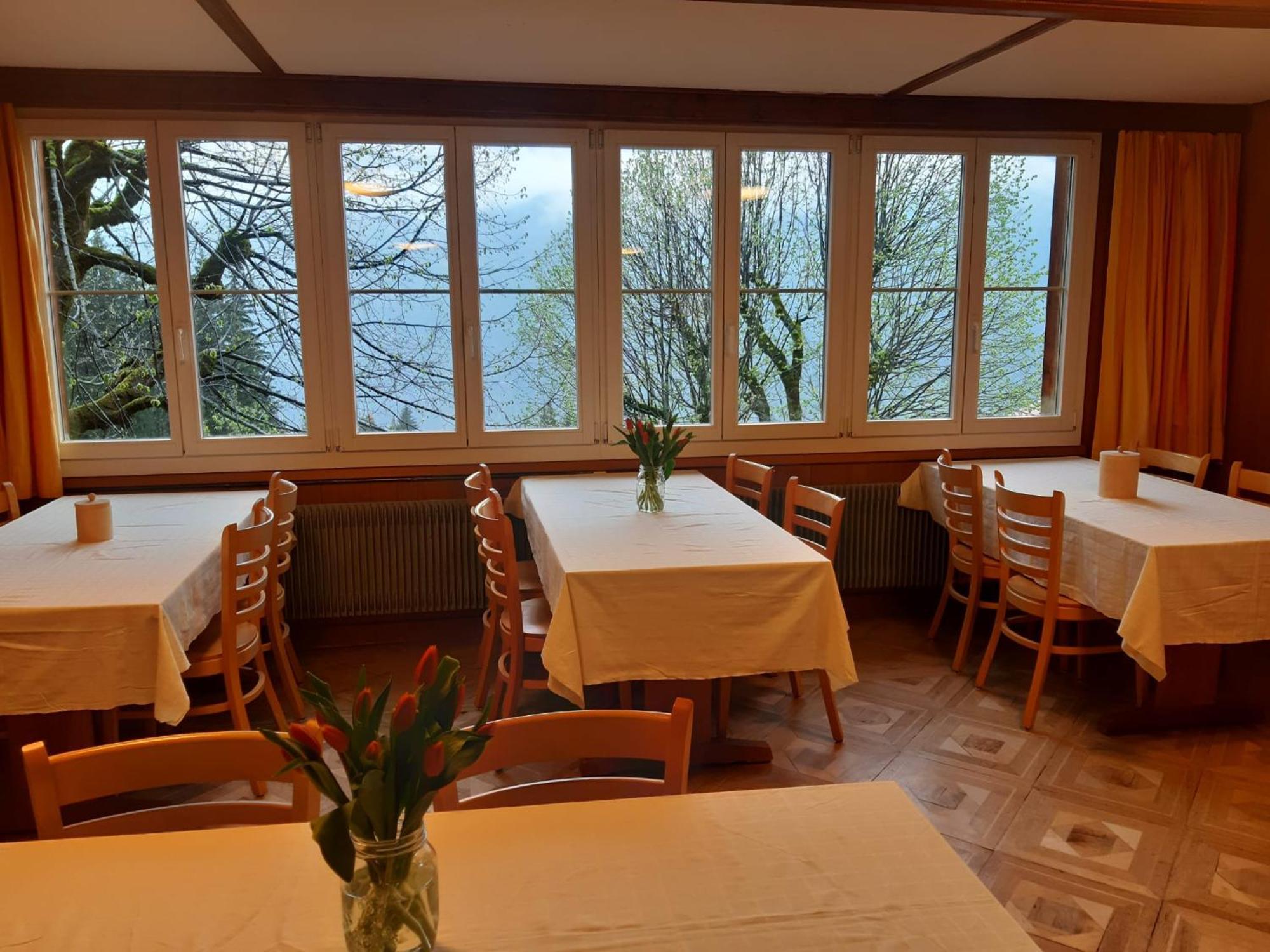 Sonnenhof Wengen - First Hotel Of Wengen Eksteriør billede